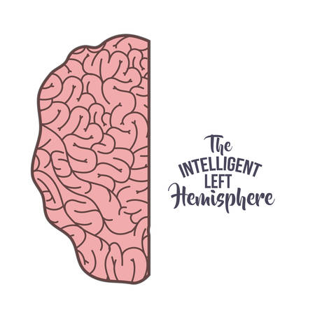 brain human organ isolated icon vector illustration designのイラスト素材