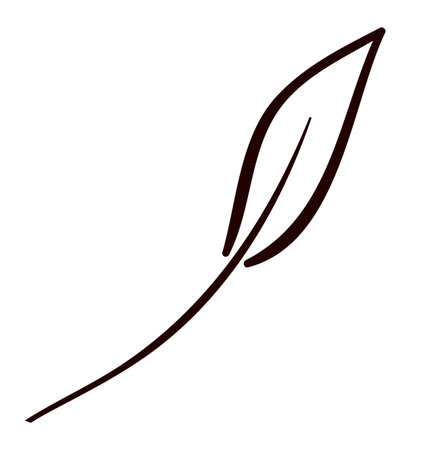 leaf plant icon. Garden floral and decoration theme. Isolated design. Vector illustrationのイラスト素材