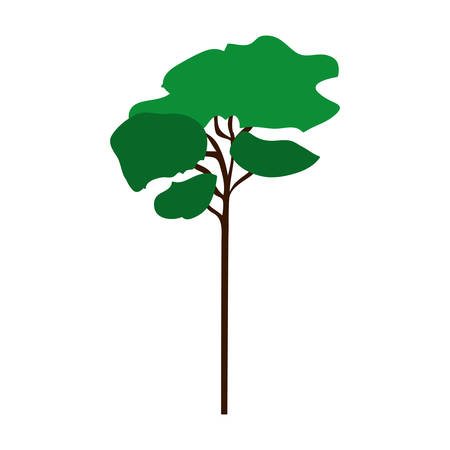 green tall tree plant icon over white background. vector illustrationのイラスト素材
