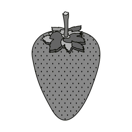 strawberry fruit healthy food over white background. vector illustrationのイラスト素材