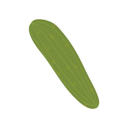 green cucumber vegetable healthy food over white background. vector illustrationのイラスト素材