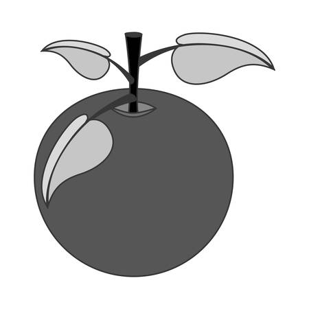 tangerine fruit icon over white background. healthy and natural food design. vector illustrationのイラスト素材