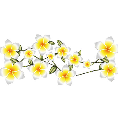 delicate flower drawing  icon image vector illustration designのイラスト素材