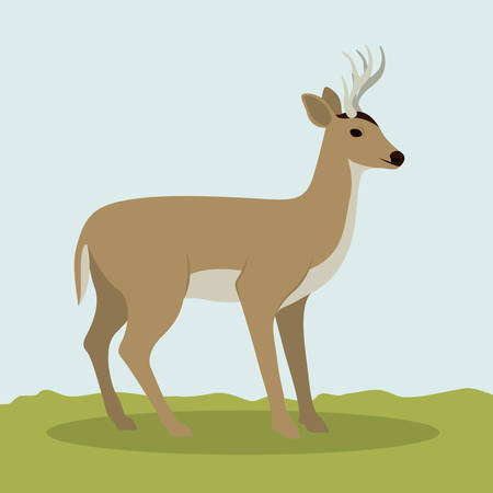Deer icon. Animal life nature and fauna theme. Colorful design. Vector illustrationのイラスト素材