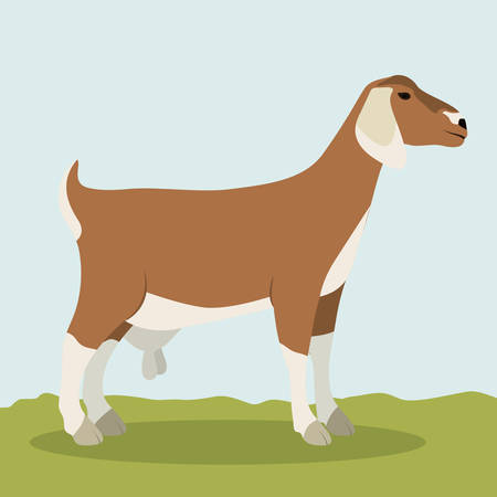 Goat icon. Animal life nature and fauna theme. Colorful design. Vector illustrationのイラスト素材