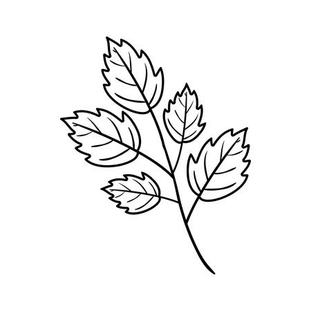 Silhouette toothed leaves with ramifications vector illustrationのイラスト素材