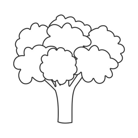 silhouette of broccoli vegetable icon. healthy food design. vector illustrationのイラスト素材