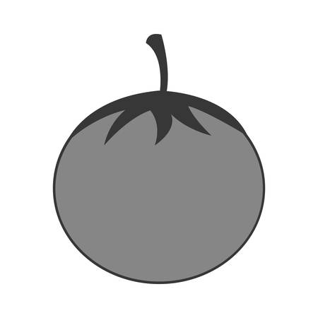 tomato fruit icon image vector illustration designのイラスト素材