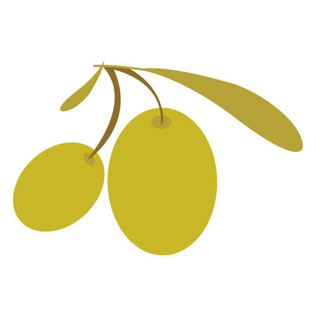 olive plant food fruit oil organic natural vector isolated illustrationのイラスト素材