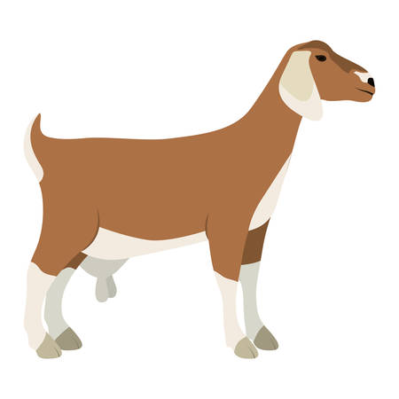 Goat icon. Livestock animal life nature and fauna theme. Vector illustrationのイラスト素材