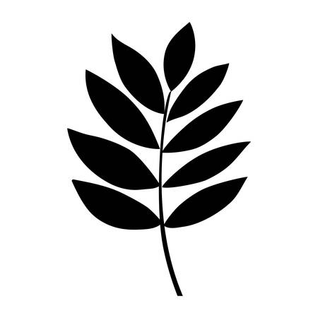 Leaf icon. Autumn season floral garden and nature theme. Vector illustrationのイラスト素材