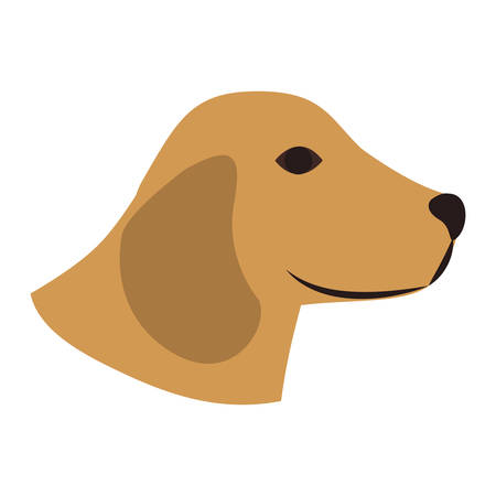 cute Labrador dog animal icon over white background. vector illustrationのイラスト素材