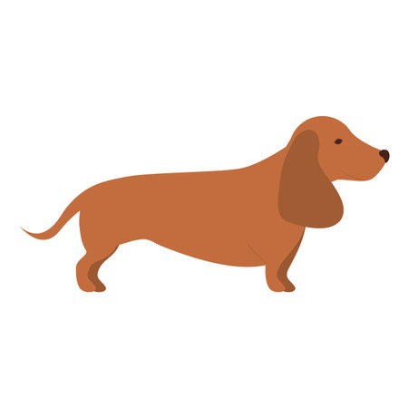 cute dachshund dog animal icon over white background. vector illustrationのイラスト素材