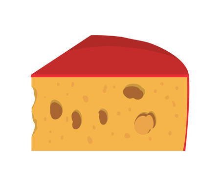 full color with cheese edam vector illustrationのイラスト素材