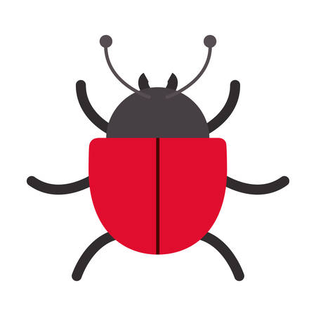 lady bug virus icon over white background.cyber security design. vector illustrationのイラスト素材