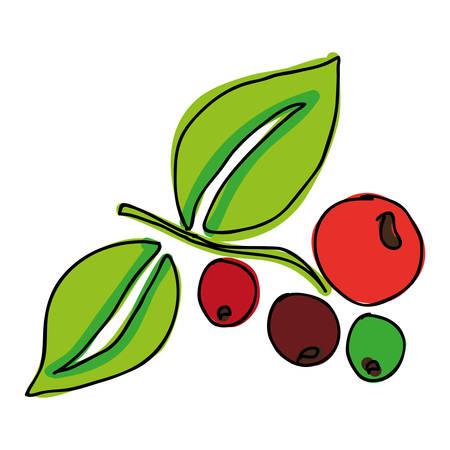 coffee plant icon image vector illustration designのイラスト素材