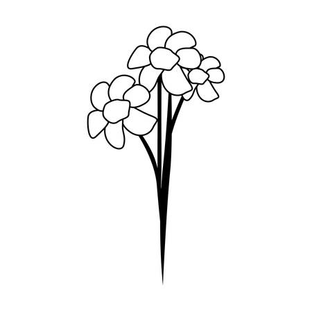 three flowers icon image vector illustration designのイラスト素材