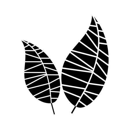 leaf abstract icon image vector illustration designのイラスト素材