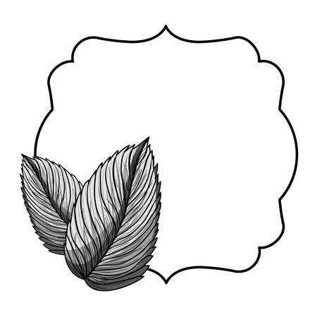leaves frame icon. Banner badge and decorative theme. Isolated design. Vector illustrationのイラスト素材