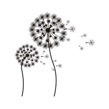silhouette flying blow dandelion buds vector illustrationのイラスト素材