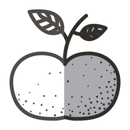 Tangerine fruit icon. Healthy organic and fresh food theme. Isolated design. Vector illustrationのイラスト素材