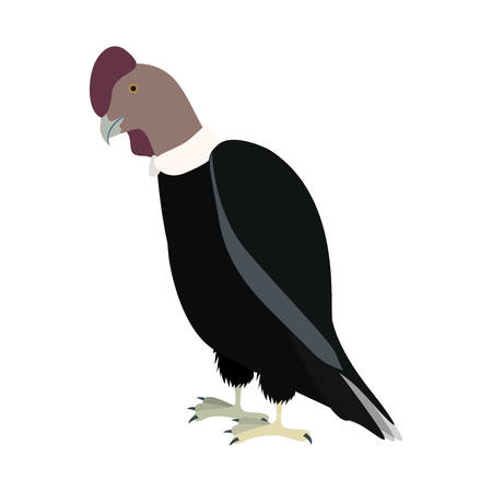 silhouette condor animal bird icon vector illustrationのイラスト素材