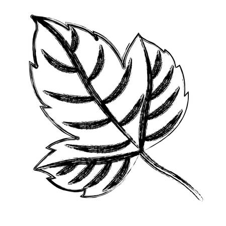 Leaves icon. Plant floral nature and decoration theme. Isolated design. Vector illustrationのイラスト素材