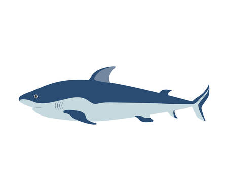 colorful silhouette with sea shark vector illustrationのイラスト素材