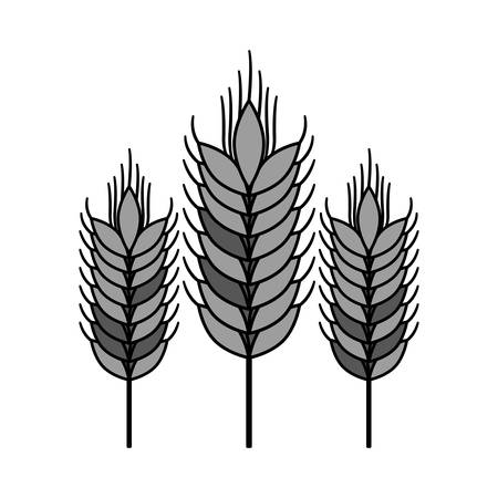 Wheat ear icon. Food grain agriculture and natural theme. Isolated design. Vector illustrationのイラスト素材