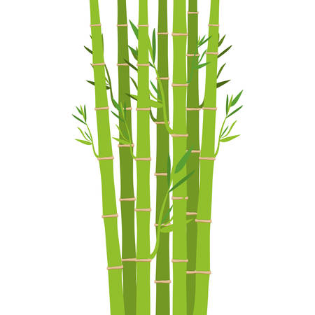 Bamboo icon. Plant nature decoration and asia theme. Isolated design. Vector illustrationのイラスト素材