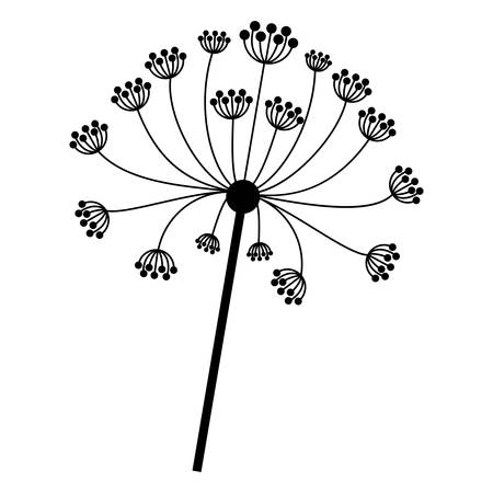 silhouette dandelion with stem and pistil closeup . Vector illustrationのイラスト素材