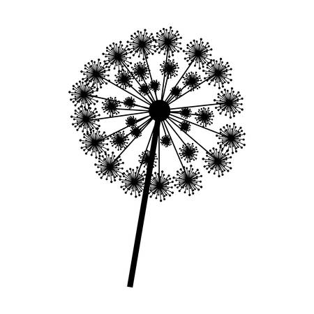 silhouette dandelion with stem and pistil closeup vector illustrationのイラスト素材