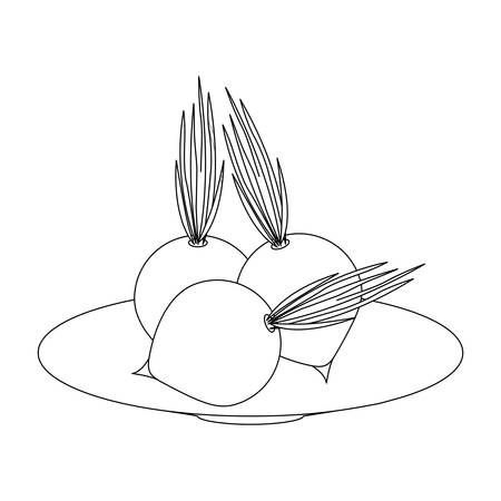 Fresh onions vegetables icon vector illustration graphic designのイラスト素材