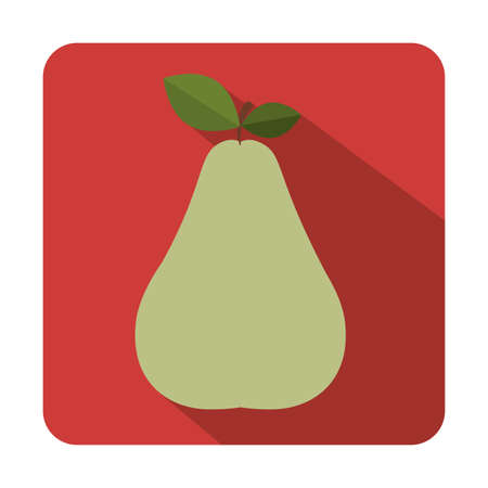 Delicious pear fruit icon vector illustration graphic designの写真素材
