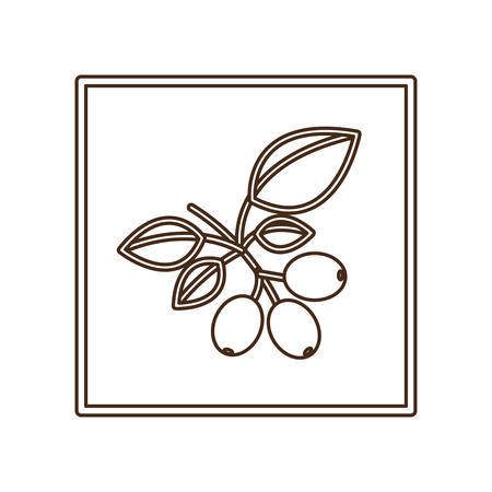 coffee tree icon image design, vector illustrationのイラスト素材