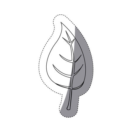 figure leaf of plant icon, vector illustration design imageのイラスト素材