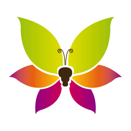 Color fly with tricolor wings icon.のイラスト素材