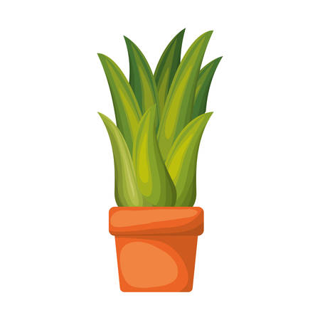 Corn plant in flower pot vector illustrationのイラスト素材