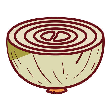 A white background of middle onion in closeup with thick contour vector illustrationのイラスト素材
