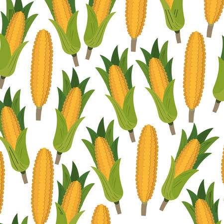 colorful background with pattern of corncobs vector illustrationのイラスト素材