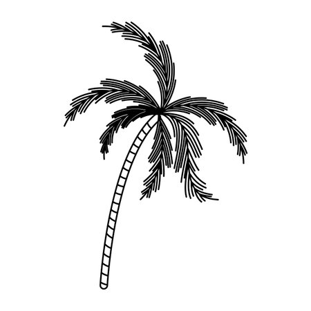 black silhouette with palm tree vector illustrationのイラスト素材