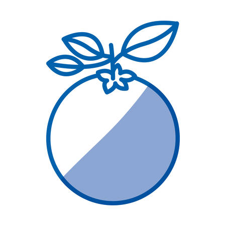 blue shading silhouette of orange fruit with stem and leaves vector illustrationのイラスト素材