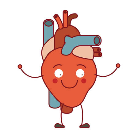 colorful silhouette caricature circulatory system with heart vector illustrationのイラスト素材