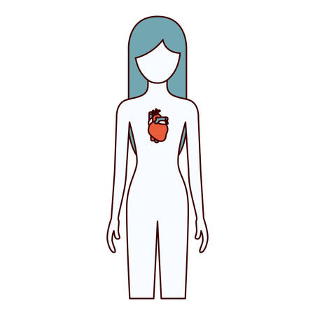 color sections silhouette female person with heart system human body vector illustrationのイラスト素材