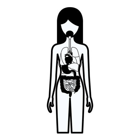 black silhouette thick contour of female person with internal organs system of human body vector illustrationのイラスト素材