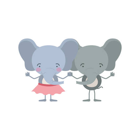 colorful caricature with couple of elephants holding hands vector illustrationのイラスト素材