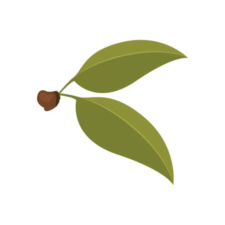 white background with green leaves of cherry with stem vector illustrationのイラスト素材