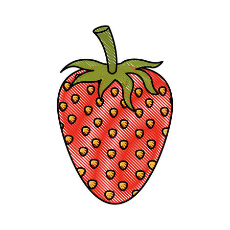 White background of colored crayon silhouette of strawberry fruit vector illustrationのイラスト素材