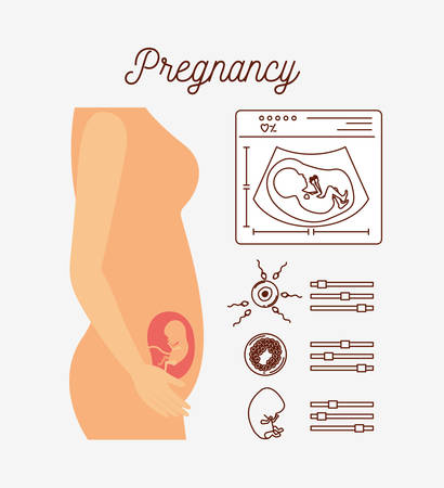 white background with color silhouette pregnancy process in female body vector illustrationのイラスト素材