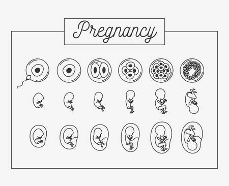 white background silhouette set pregnancy process in rectagular frame vector illustrationのイラスト素材